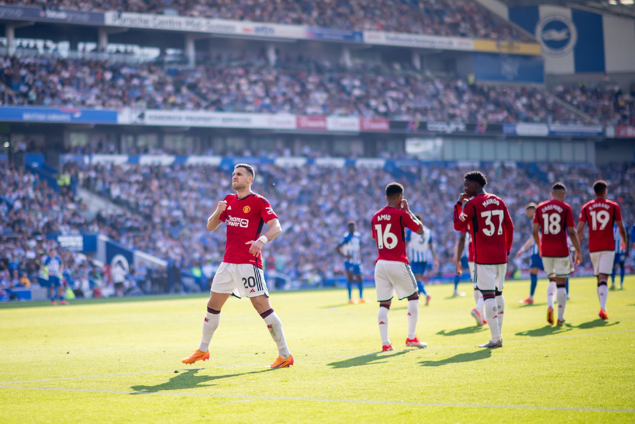 的职业道路 的职业道路