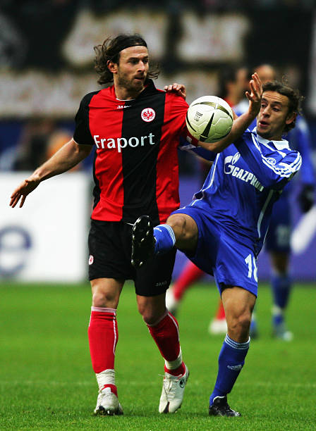 让我们共同 让我们共同