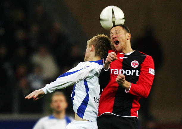 数据显示 数据显示